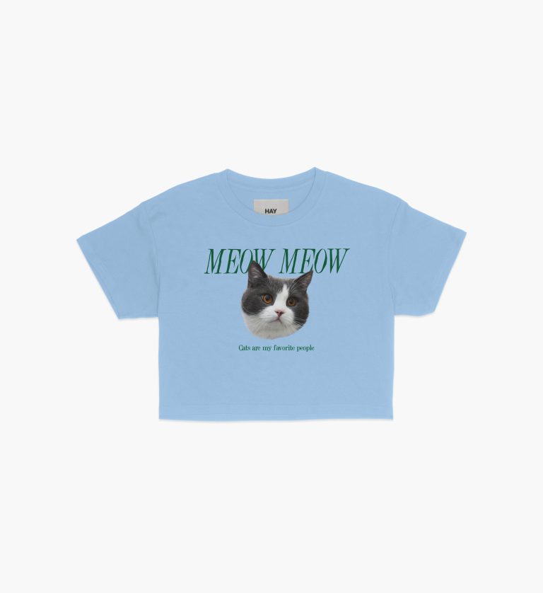 CROP-meow meow - sky