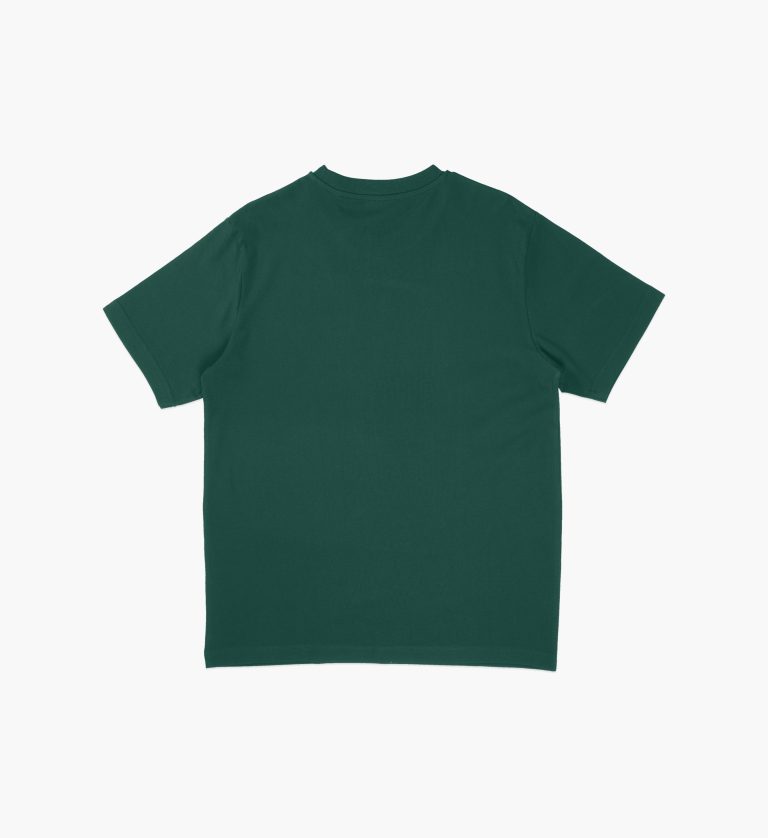 TSHIRT-Bears - green
